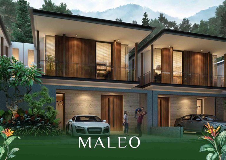 tipe maleo media