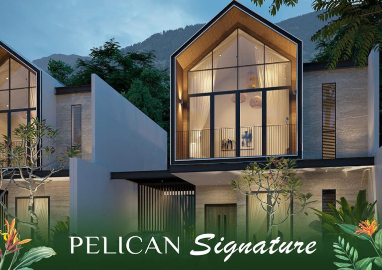tipe pelican media